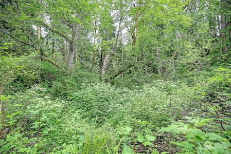 1804 Amber View Place Camano Island WA 98282
