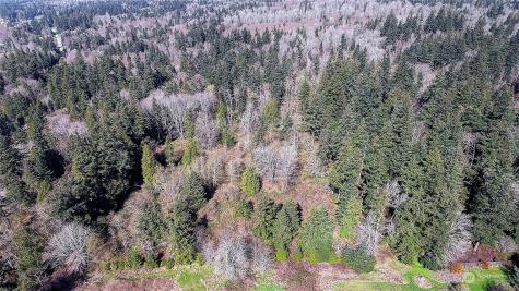 1804 Amber View Place Camano Island WA 98282