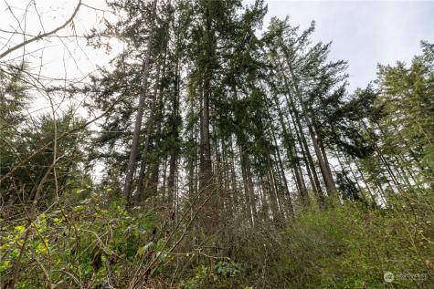 0 95th Avenue Court E Graham WA 98338