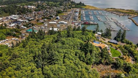 0 Fourth Avenue SW Ilwaco WA 98624