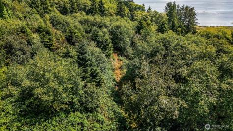0 Fourth Avenue SW Ilwaco WA 98624