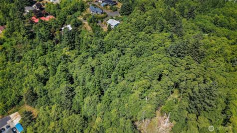 0 Fourth Avenue SW Ilwaco WA 98624