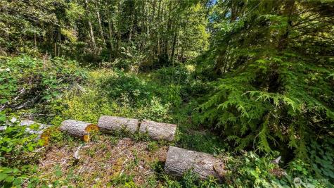 0 Fourth Avenue SW Ilwaco WA 98624