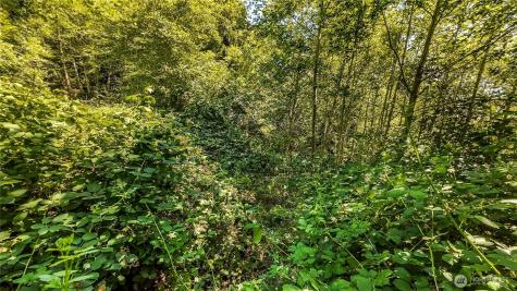 0 Fourth Avenue SW Ilwaco WA 98624