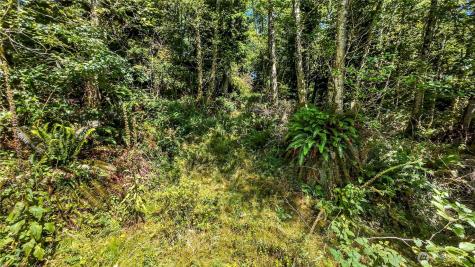 0 Fourth Avenue SW Ilwaco WA 98624