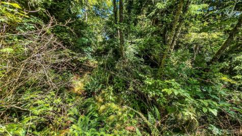 0 Fourth Avenue SW Ilwaco WA 98624