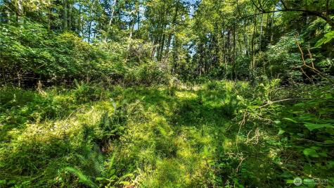 0 Fourth Avenue SW Ilwaco WA 98624