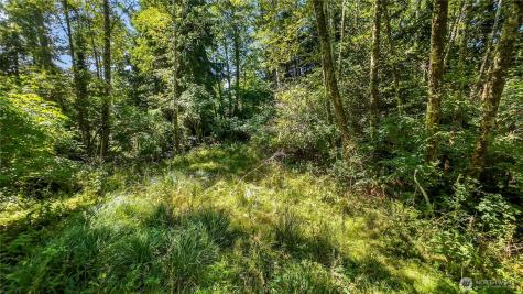 0 Fourth Avenue SW Ilwaco WA 98624