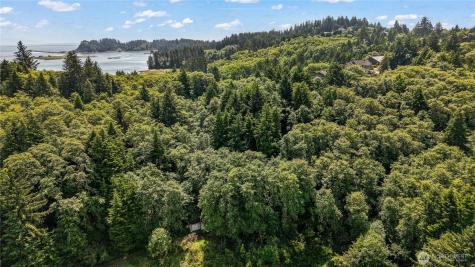 0 Fourth Avenue SW Ilwaco WA 98624