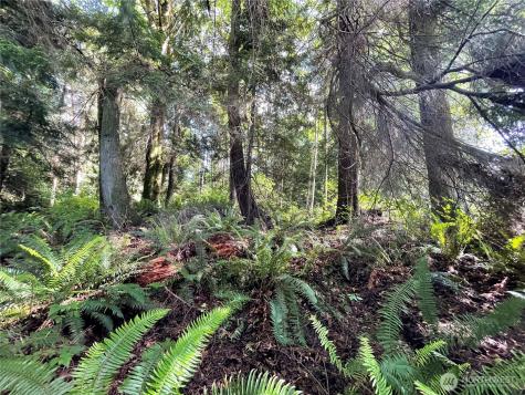 0 State Highway 3 Poulsbo WA 98370