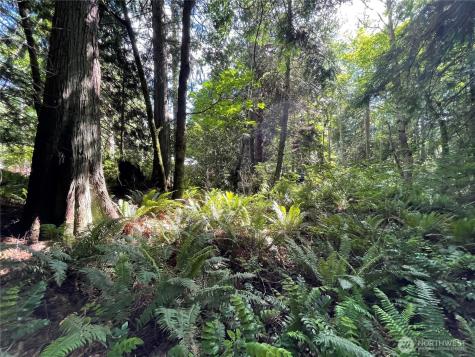 0 State Highway 3 Poulsbo WA 98370