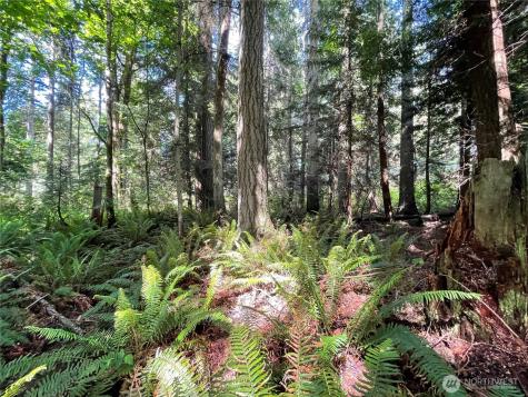 0 State Highway 3 Poulsbo WA 98370