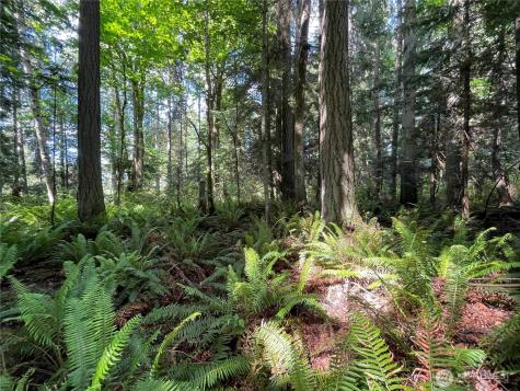 0 State Highway 3 Poulsbo WA 98370