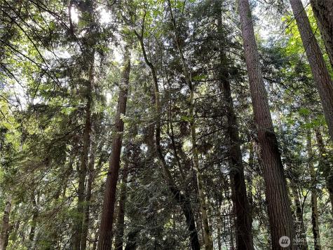 0 State Highway 3 Poulsbo WA 98370