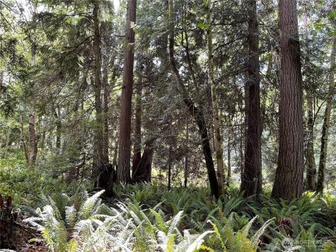 0 State Highway 3 Poulsbo WA 98370