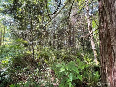 0 State Highway 3 Poulsbo WA 98370