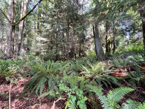 0 State Highway 3 Poulsbo WA 98370