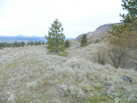 0 Tbd Six Gun Way Tonasket WA 98855