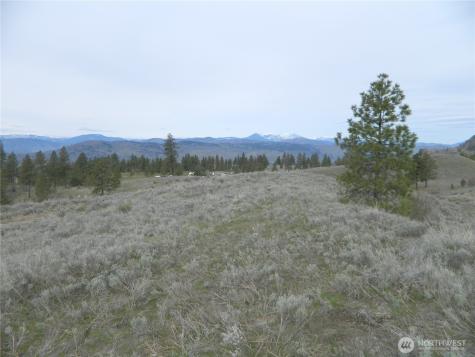 0 Tbd Six Gun Way Tonasket WA 98855