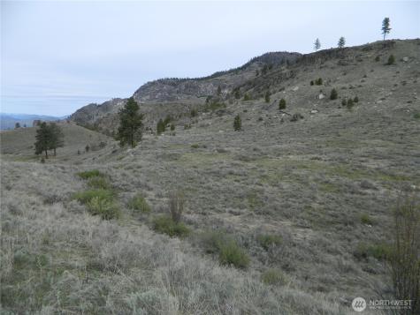 0 Tbd Six Gun Way Tonasket WA 98855