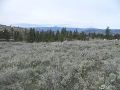 0 Tbd Six Gun Way Tonasket WA 98855