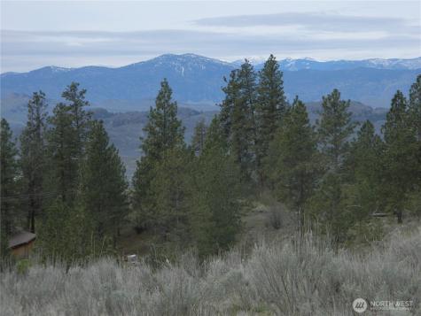 0 Tbd Six Gun Way Tonasket WA 98855