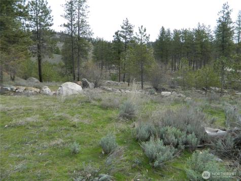 0 Tbd Six Gun Way Tonasket WA 98855
