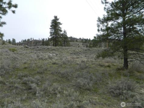 0 Tbd Six Gun Way Tonasket WA 98855