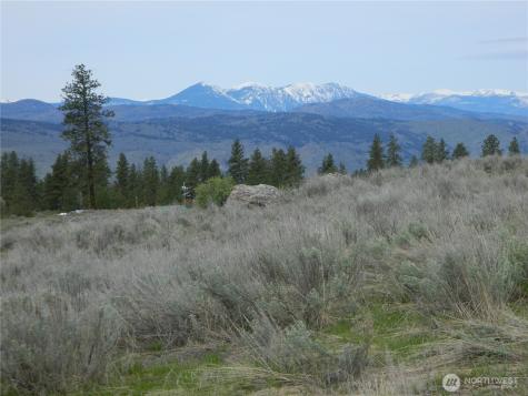 0 Tbd Six Gun Way Tonasket WA 98855