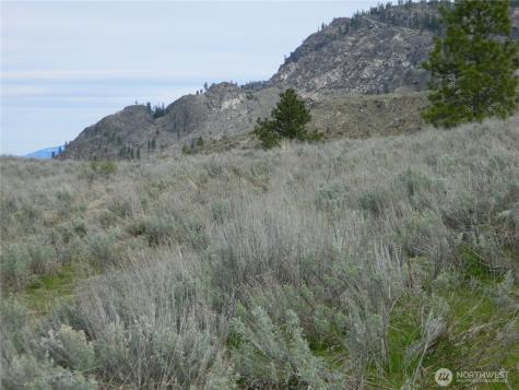 0 Tbd Six Gun Way Tonasket WA 98855