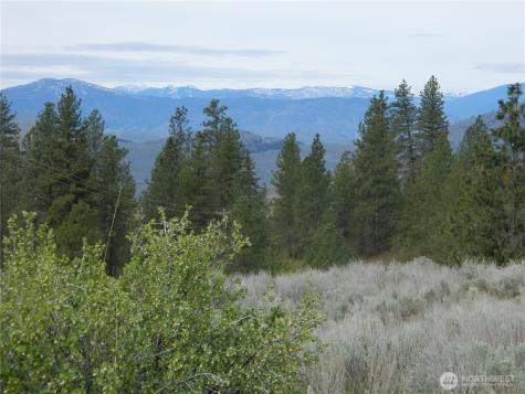 0 Tbd Six Gun Way Tonasket WA 98855