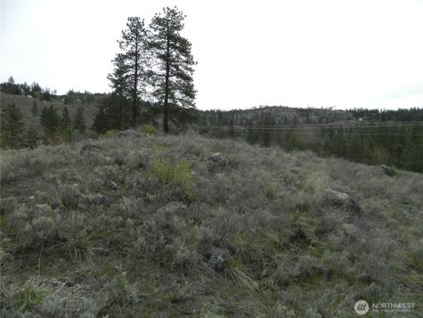 0 Tbd Six Gun Way Tonasket WA 98855