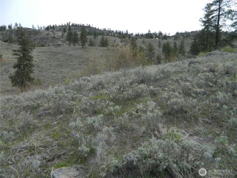 0 Tbd Six Gun Way Tonasket WA 98855