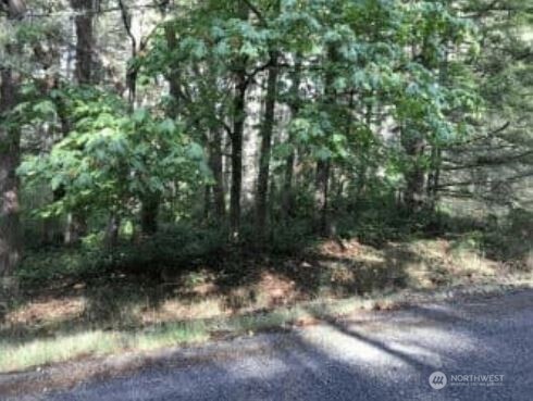 10602 Madrona Drive Anderson Island WA 98303