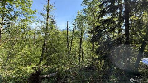 135 Xx 415th North Bend WA 98045