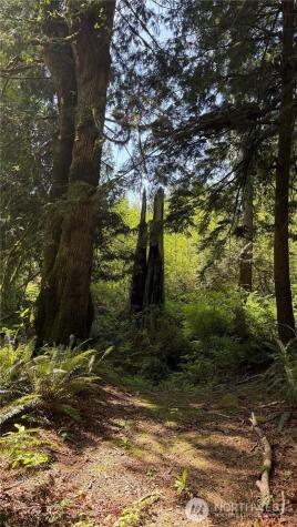 135 Xx 415th Way SE North Bend WA 98045