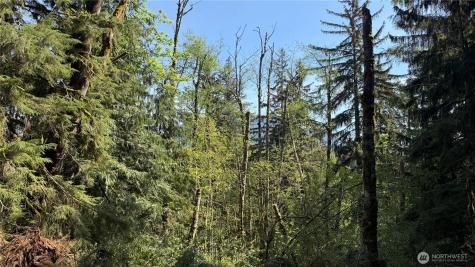 135 Xx 415th Way SE North Bend WA 98045