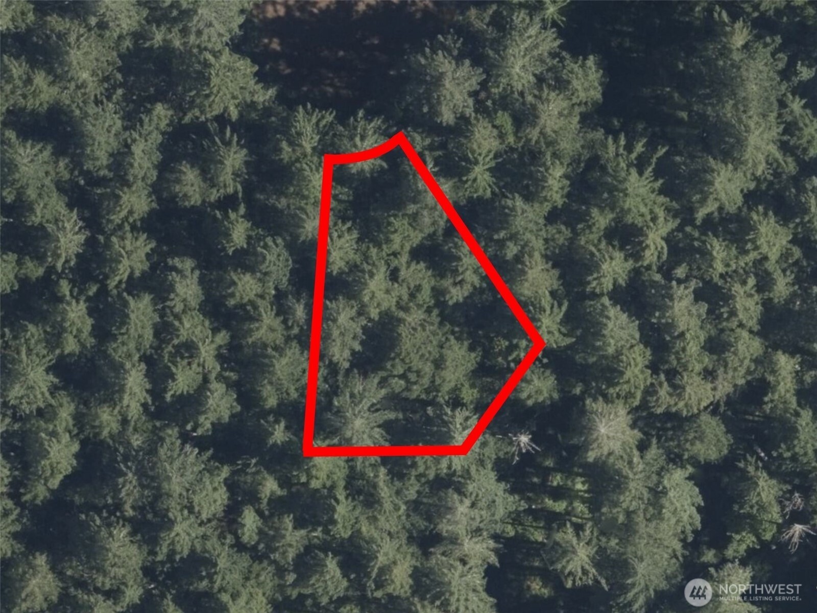 12914 E 101st Street Court Anderson Island WA 98303