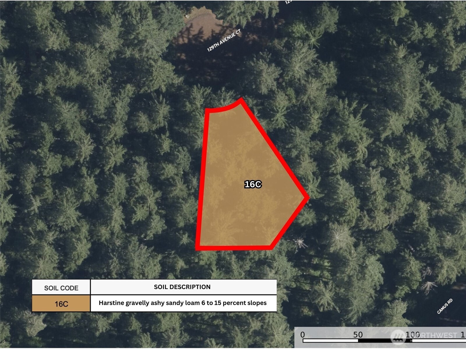 12914 E 101st Street Court Anderson Island WA 98303