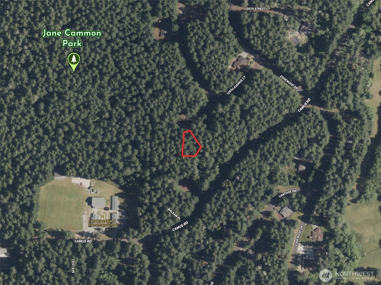 12914 E 101st Street Court Anderson Island WA 98303