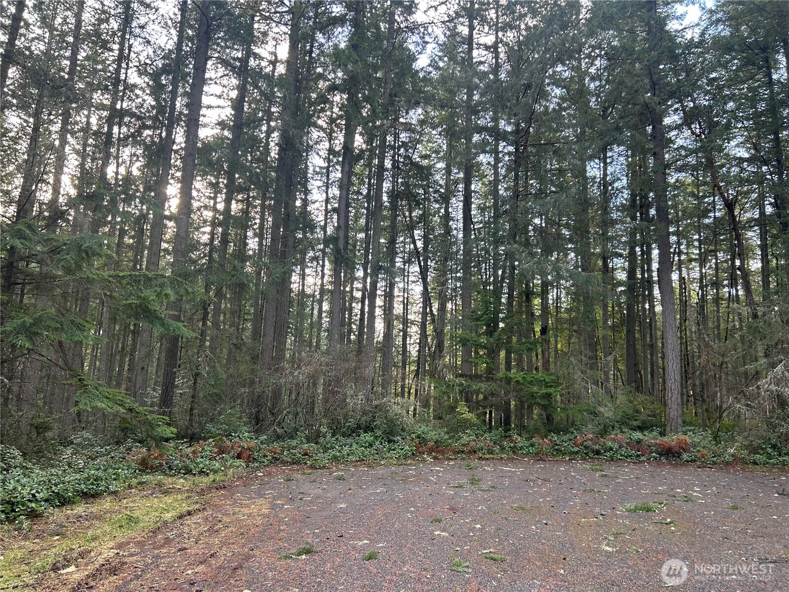 12914 E 101st Street Court Anderson Island WA 98303