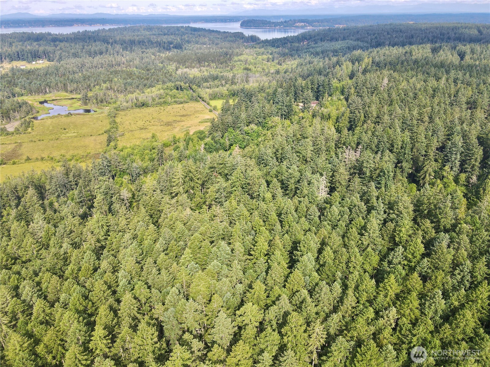 12914 E 101st Street Court Anderson Island WA 98303
