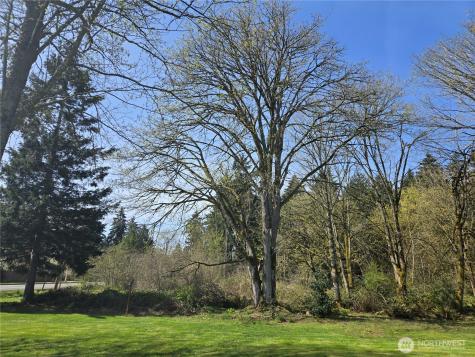 34249 21st Avenue SW Federal Way WA 98023