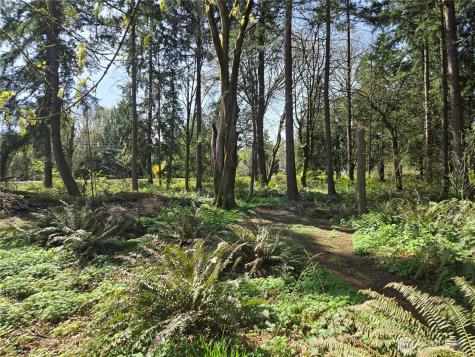34249 21st Avenue SW Federal Way WA 98023