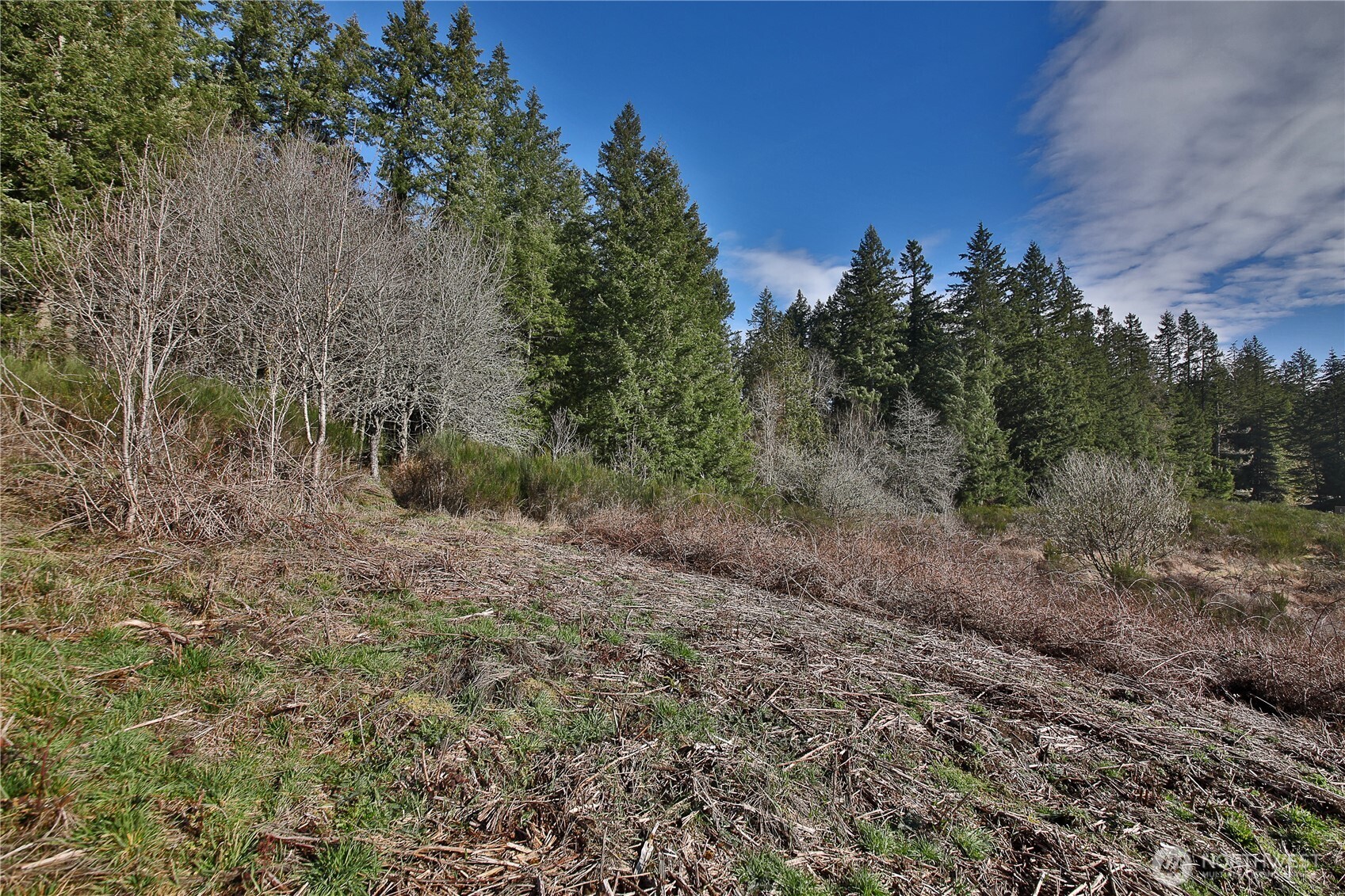 0 Sr 525 Road Langley WA 98260