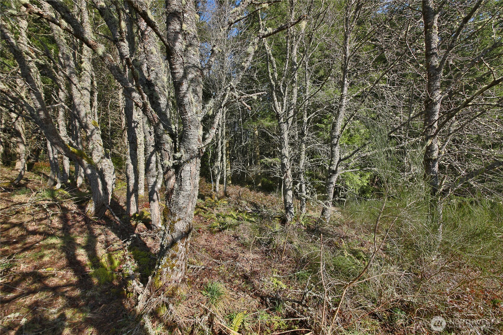 0 Sr 525 Road Langley WA 98260