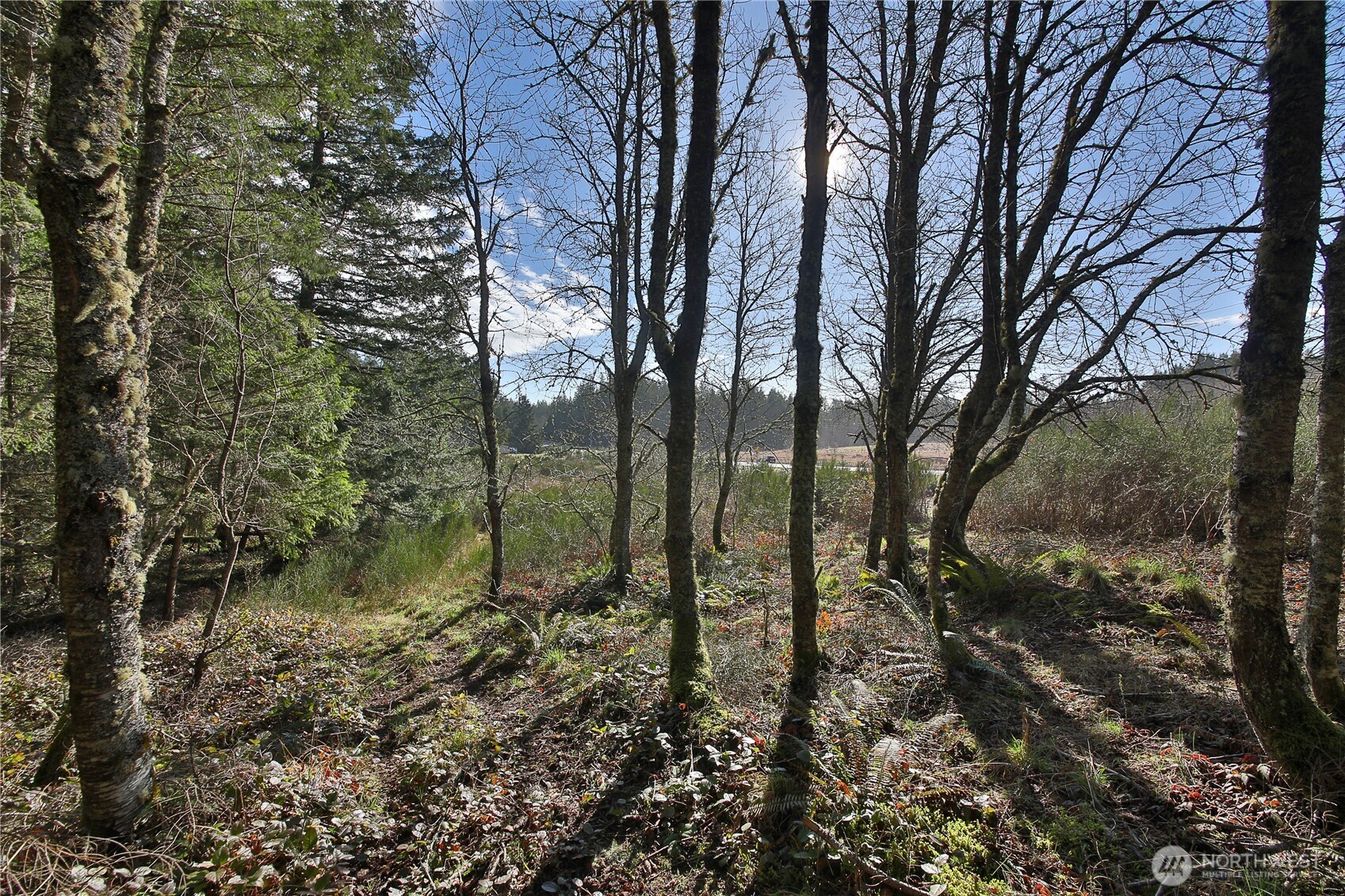 0 Sr 525 Road Langley WA 98260
