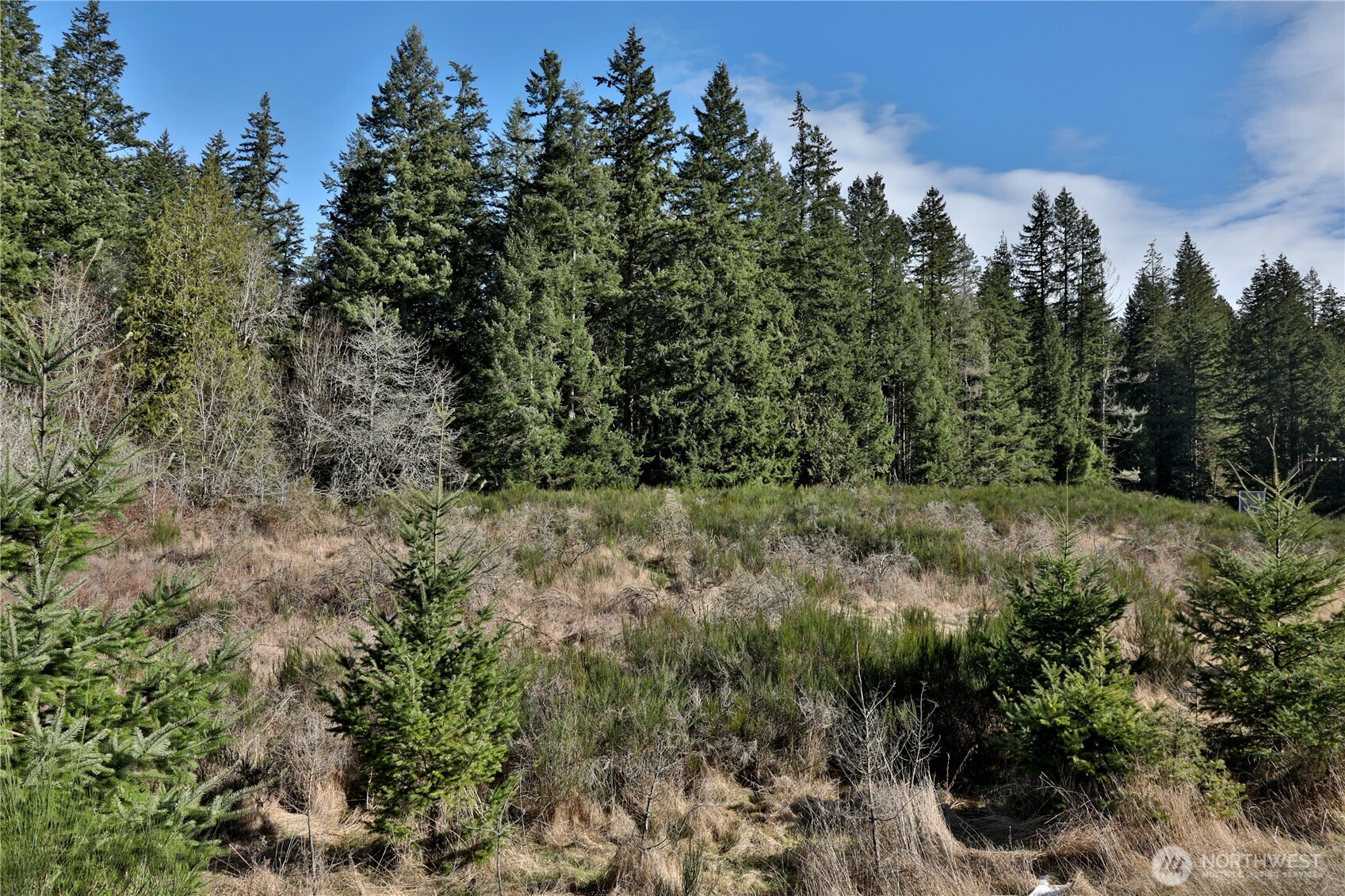 0 Sr 525 Road Langley WA 98260