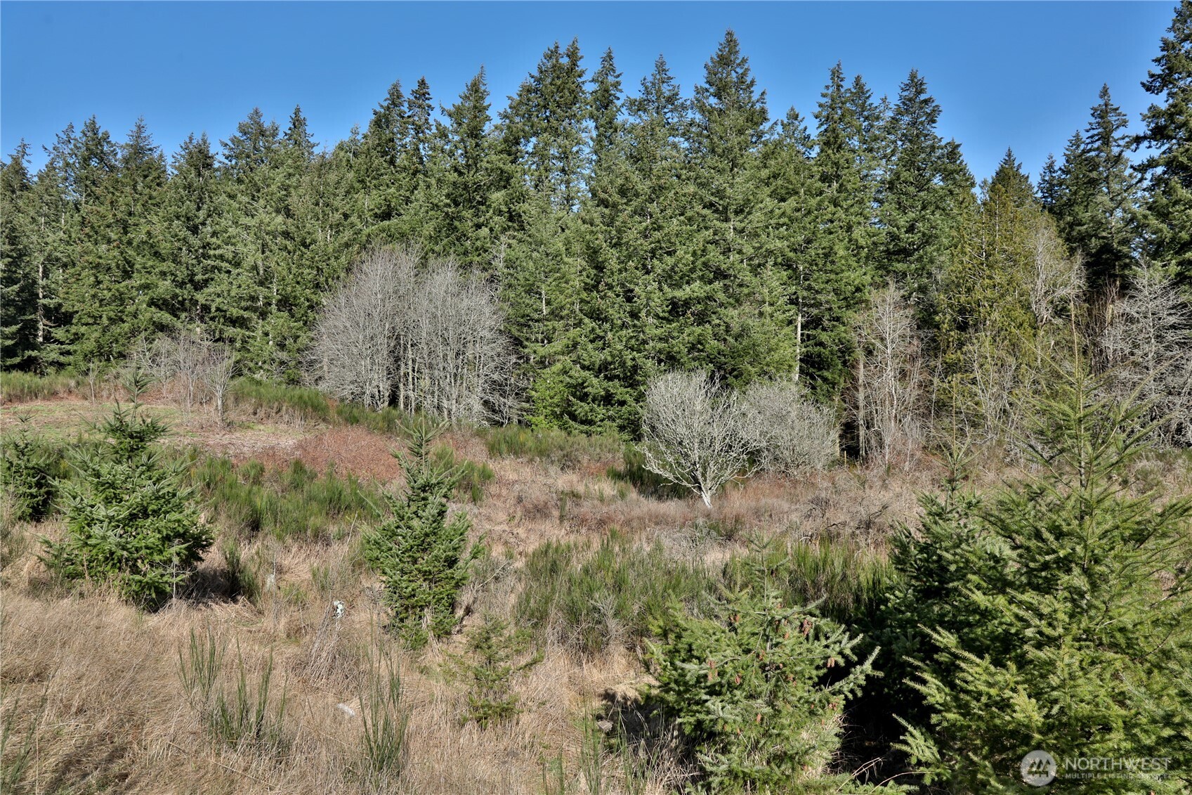 0 Sr 525 Road Langley WA 98260