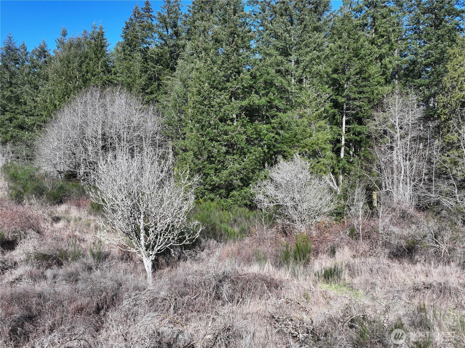0 Sr 525 Road Langley WA 98260